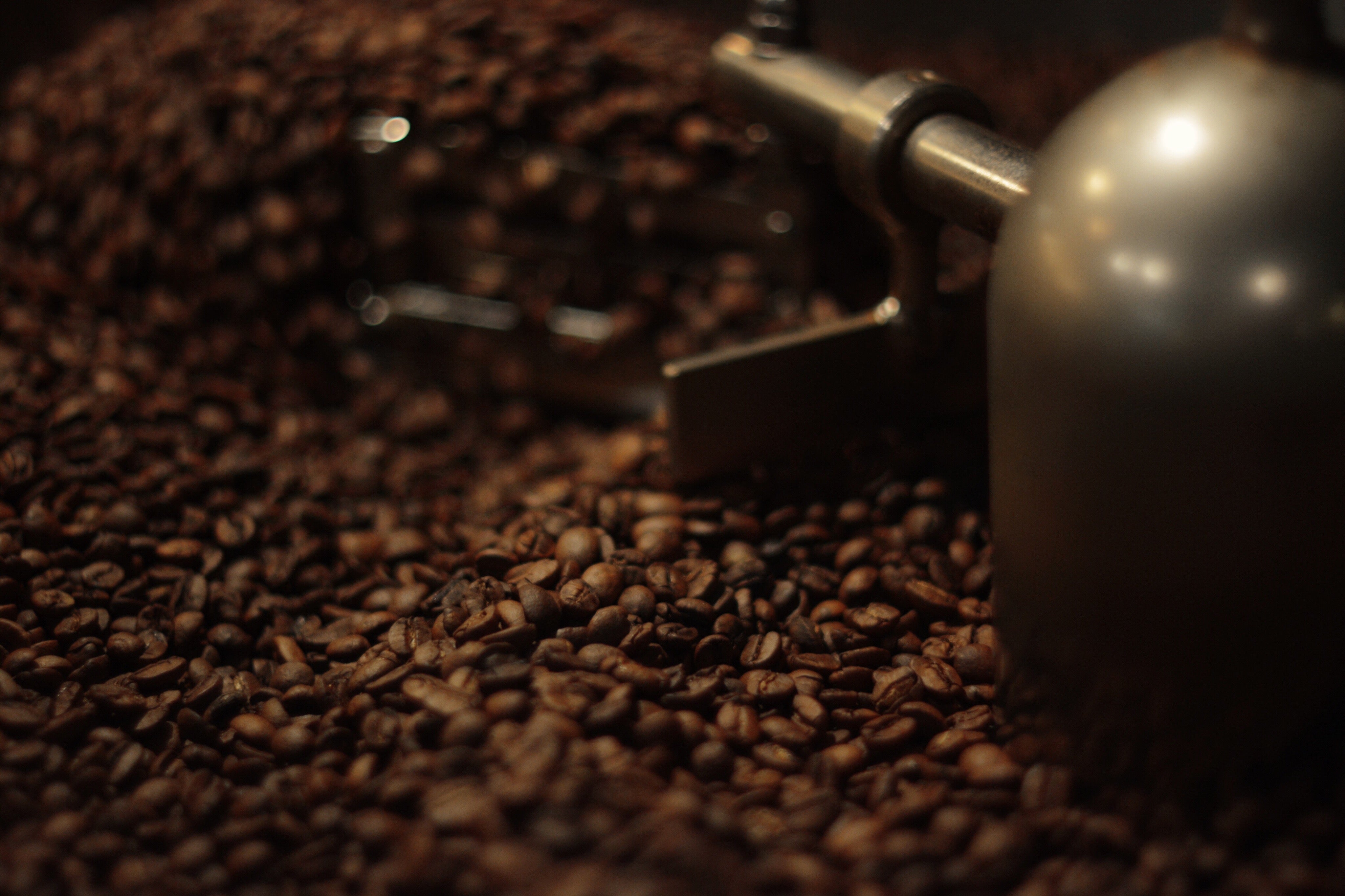 Cafés de especialidad